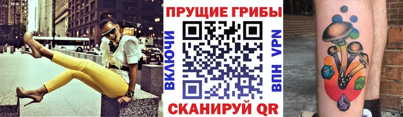 Псилоцибиновые грибы прущие грибы  Купить  Райчихинск 